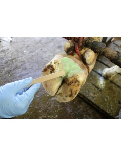 Podoseptan Hoof Paste 2