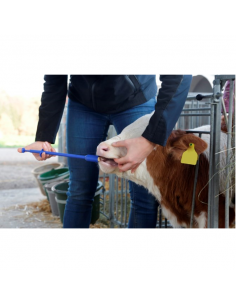 Εκτοξευτήρας βώλων Bufferlyt 2