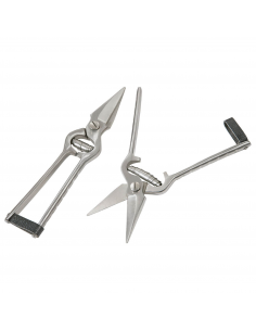 Ονυχοκόπτης ανοξείδωτος