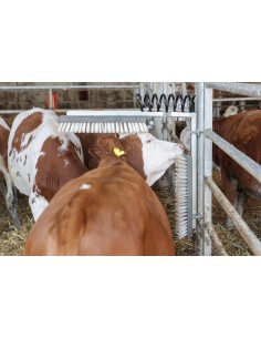 Ξύστρα βοοειδών & αλόγων 2