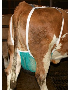 Ποδιά προστασίας μαστών 2